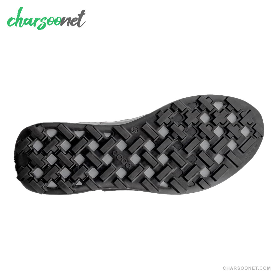 کفش ورزشی مردانه اکو مدل ECCO biom 2.1 x GTX