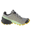 کفش دویدن زنانه سالومون مدل Salomon Speedcross 5 GTX