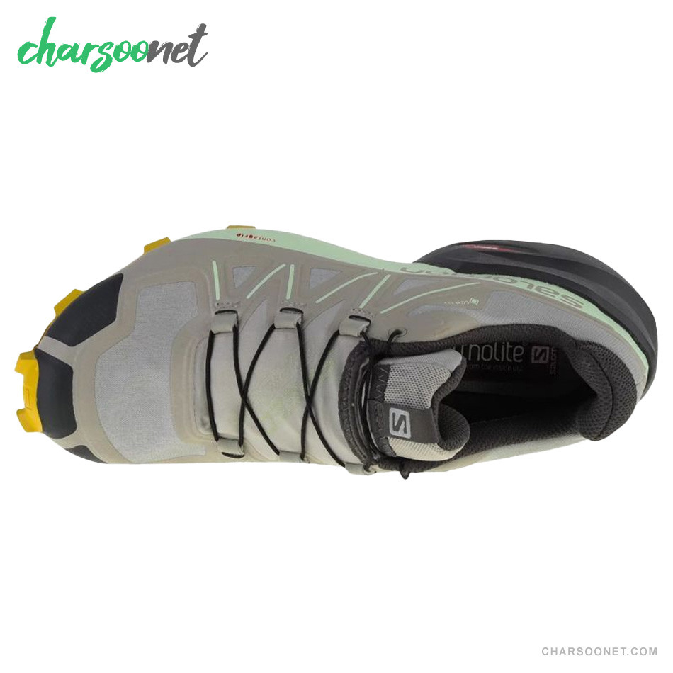 کفش دویدن زنانه سالومون مدل Salomon Speedcross 5 GTX