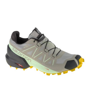کفش دویدن زنانه سالومون مدل Salomon Speedcross 5 GTX