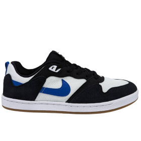 کفش روزمره مردانه نایک Nike SB Alleyoop