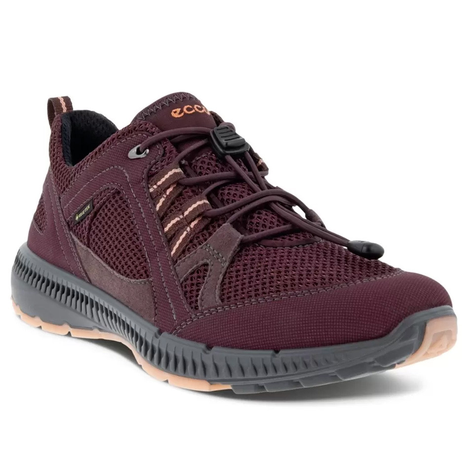 کفش روزمره زنانه اکو ECCO TERRACRUISE GTX