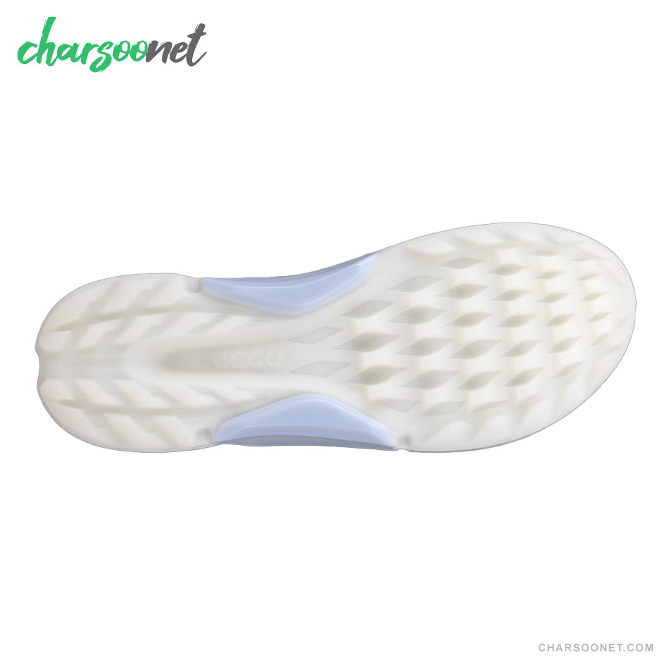 کفش ورزشی زنانه اکو ECCO biom h4 GTX