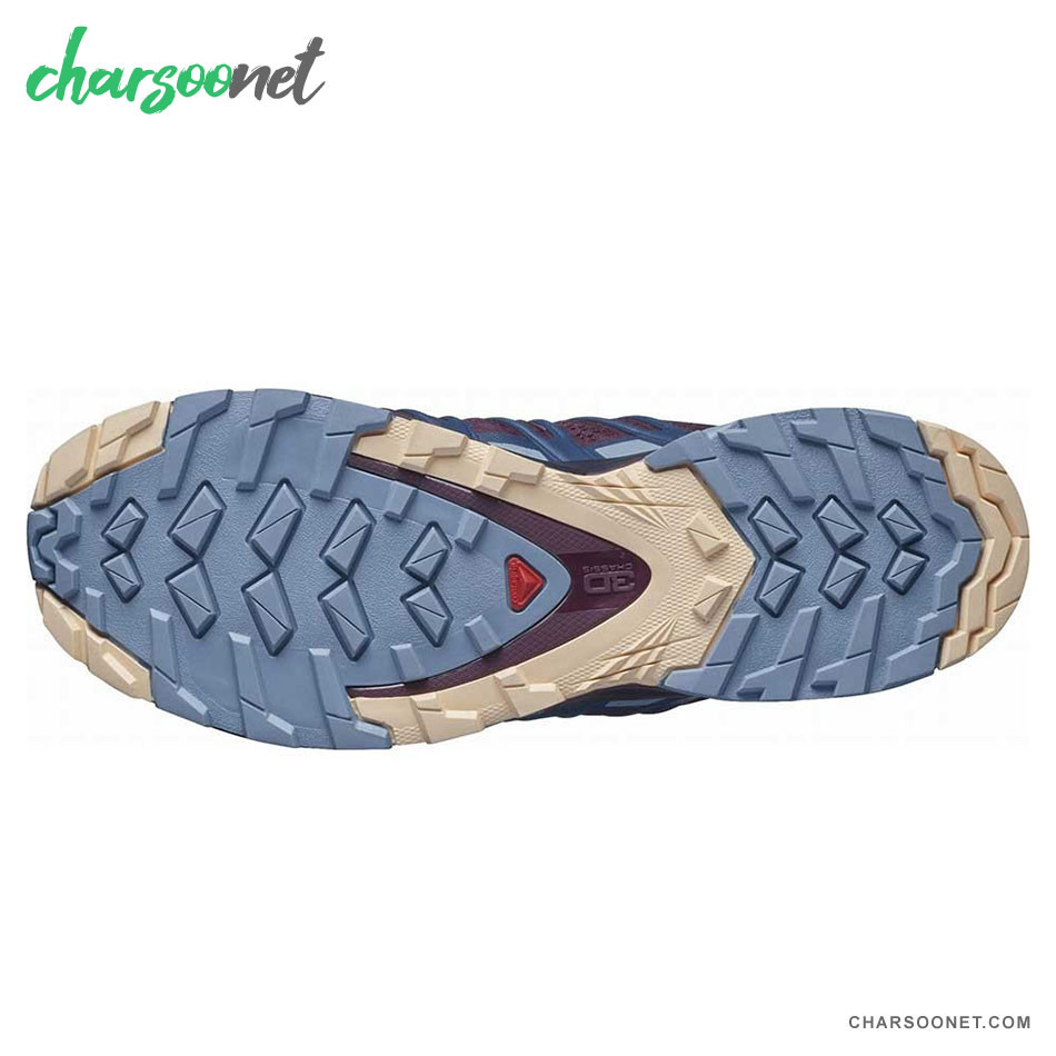 کفش ورزشی سالامون مدل Salomon Xa Pro 3D V8 W کد 412717