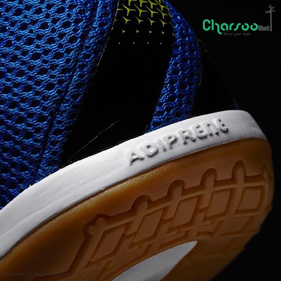 کفش آدیداس فوتسال Adidas Ace 16.2 CT 