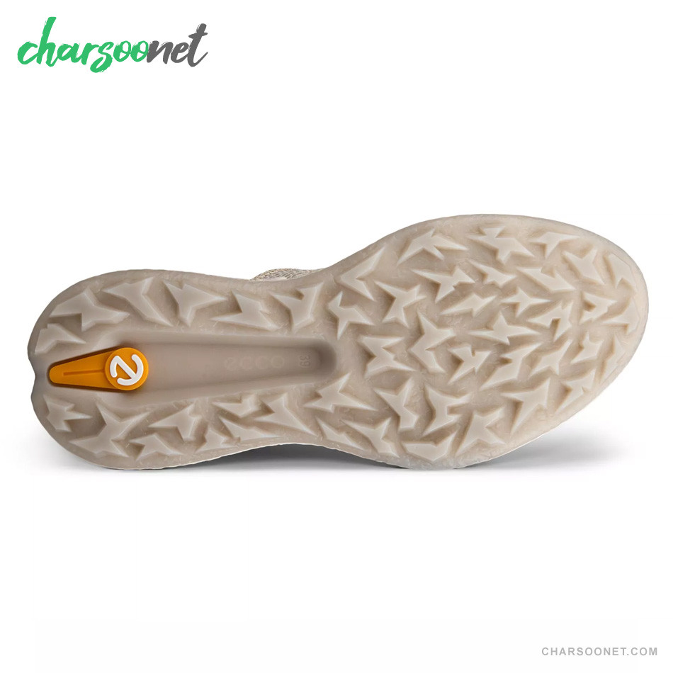کفش پیاده روی و دویدن زنانهECCO BIOM H5