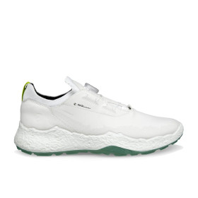 کفش  چرمی مردانه اکو Ecco H5 BOA