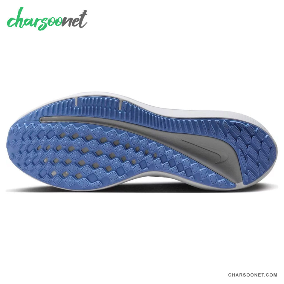 کفش پیاده روی و دویدن نایکی Nike Winflo 10