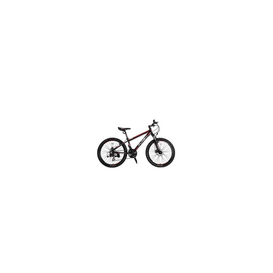 دوچرخه حرفه ای کوهستان Flash کد BYC-00003 سایز 24 مدل 2015