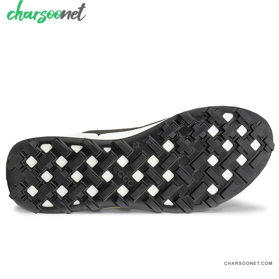 کفش طبیعتگردی مردانه اکو ECCO biom 2.1 x mountain