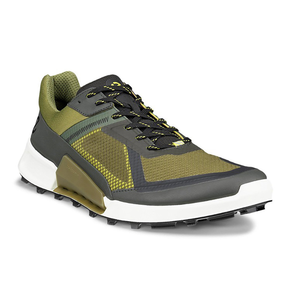 کفش طبیعتگردی مردانه اکو ECCO biom 2.1 x mountain