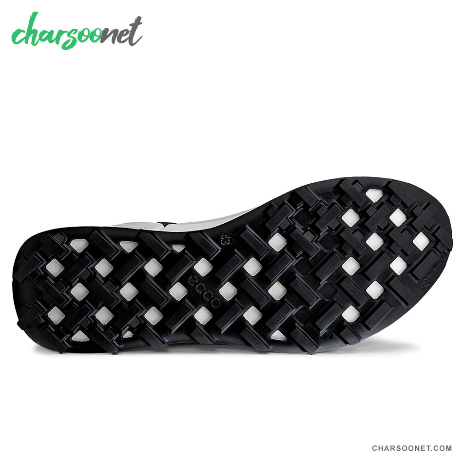 کفش طبیعتگردی مردانه اکو ECCO biom 2.1 x mountain