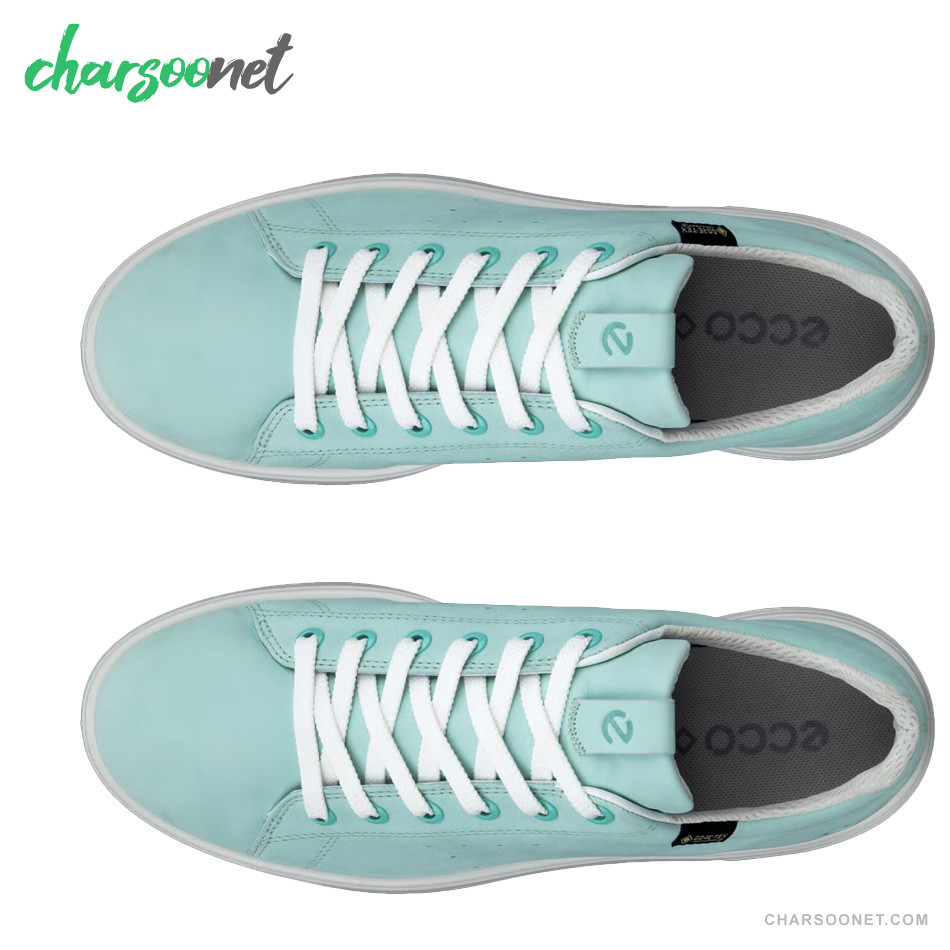 کفش روزمره زنانه اکو  ECCO street 720 GTX