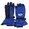 دستکش دوپوش ضدآب نورث فیس The North Face