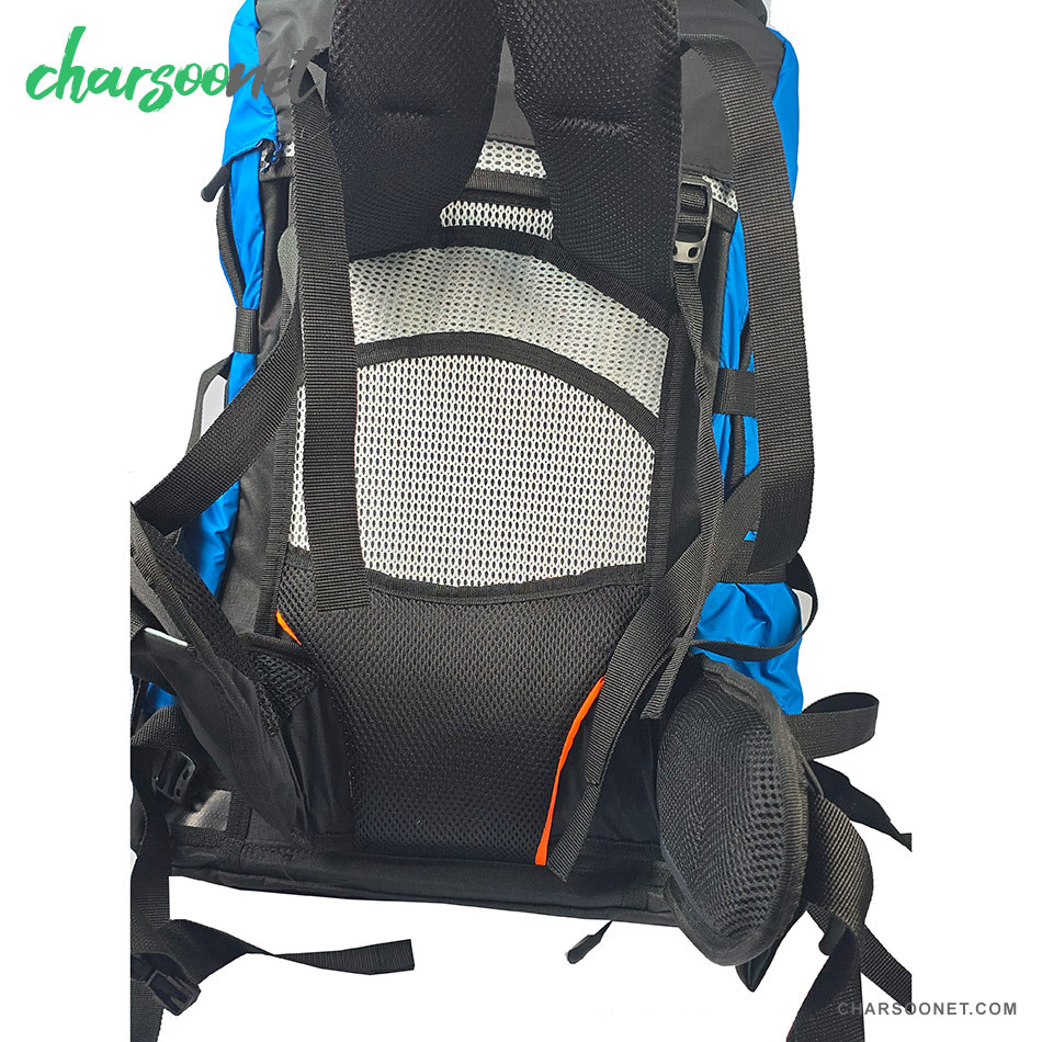 کوله پشتی 38 لیتری دیوتر مدل Futura Pro