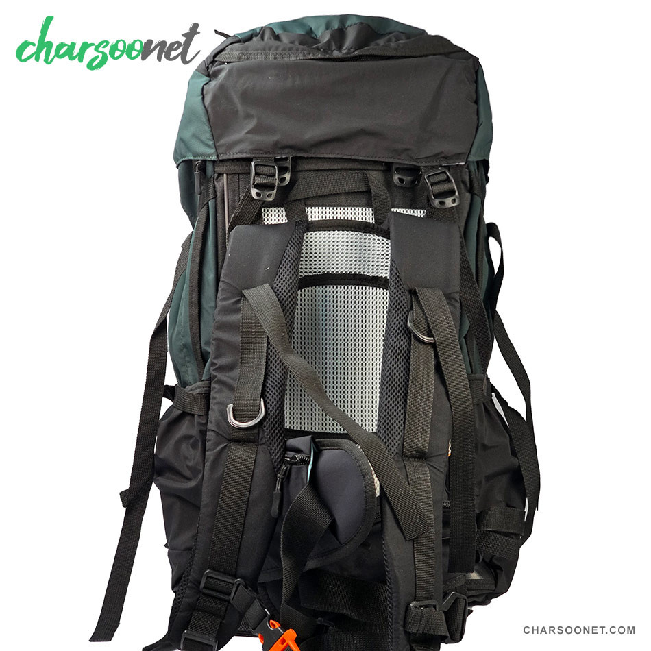 کوله پشتی 45 لیتری دیوتر Futura Pro