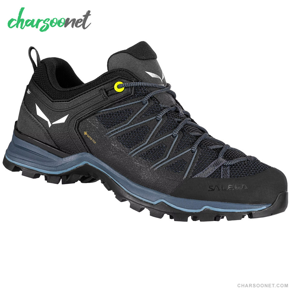 کفش مردانه سالیوا Salewa MTN Trainer Lite GTX