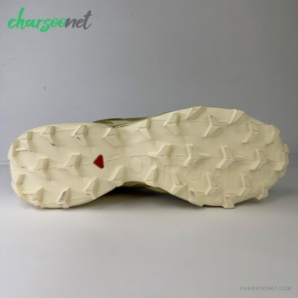 کفش ورزشی مردانه سالومون Salomon Speedcross 6