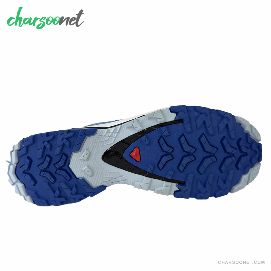کفش ورزشی مردانه سالومون Salomon XA Pro 3D v9