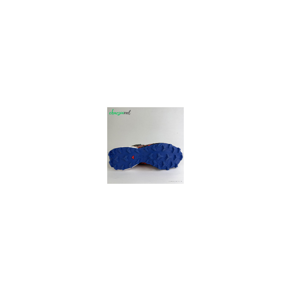 کفش دویدن مردانه سالومون مدل Salomon Speedcross 6 GTX