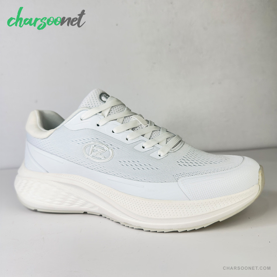 کفش اسپرت مردانه ایز Iz Running shoes