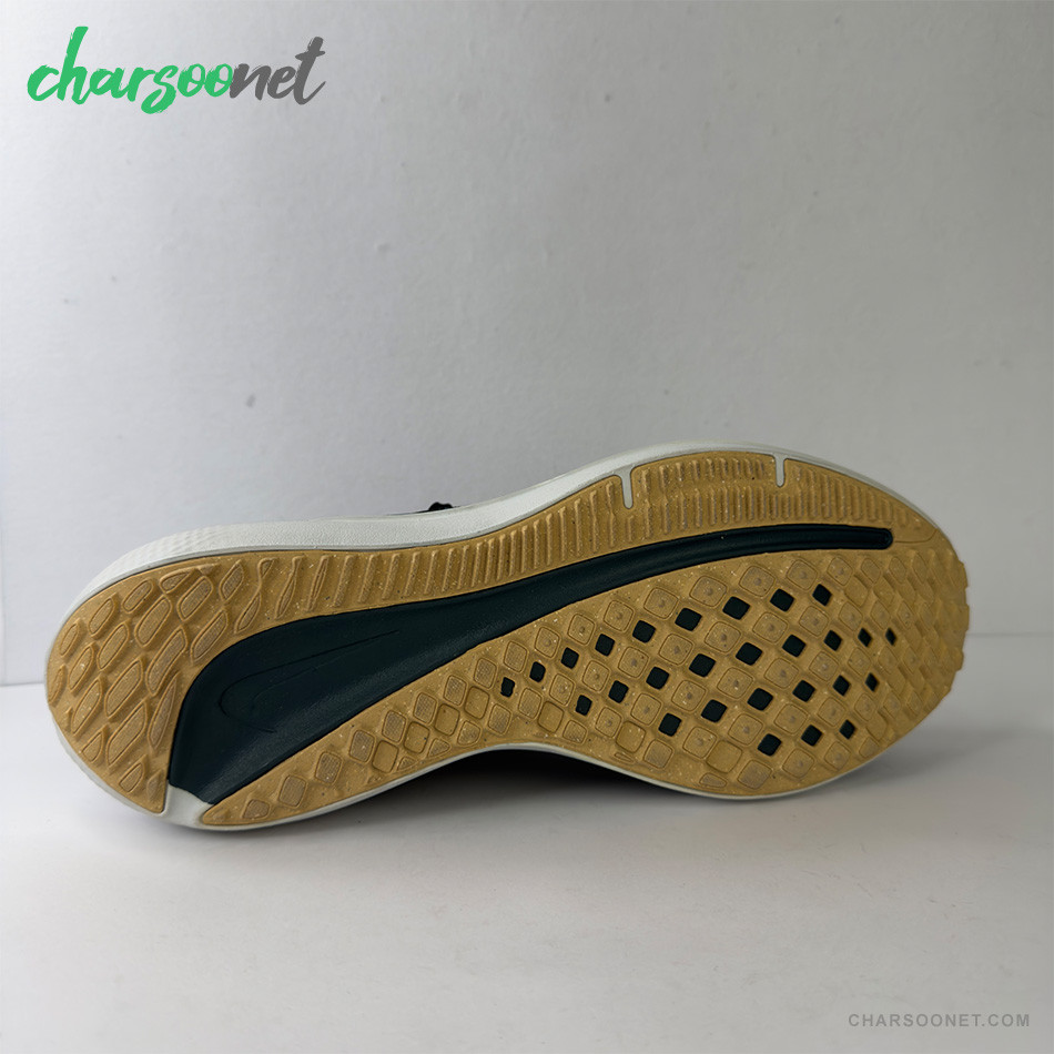 کفش ورزشی مردانه نایکی NIKE AIR WINFLO 10