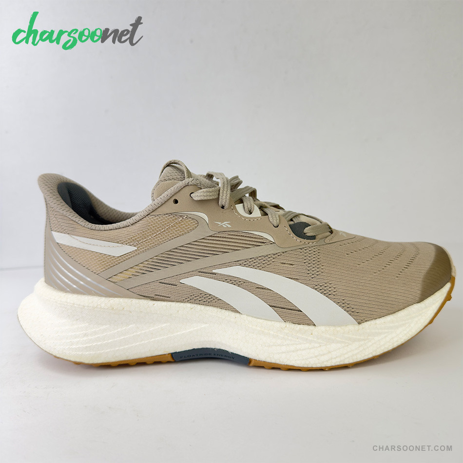 کفش روزمره مردانه ریباک Reebok Floatride Energy 5