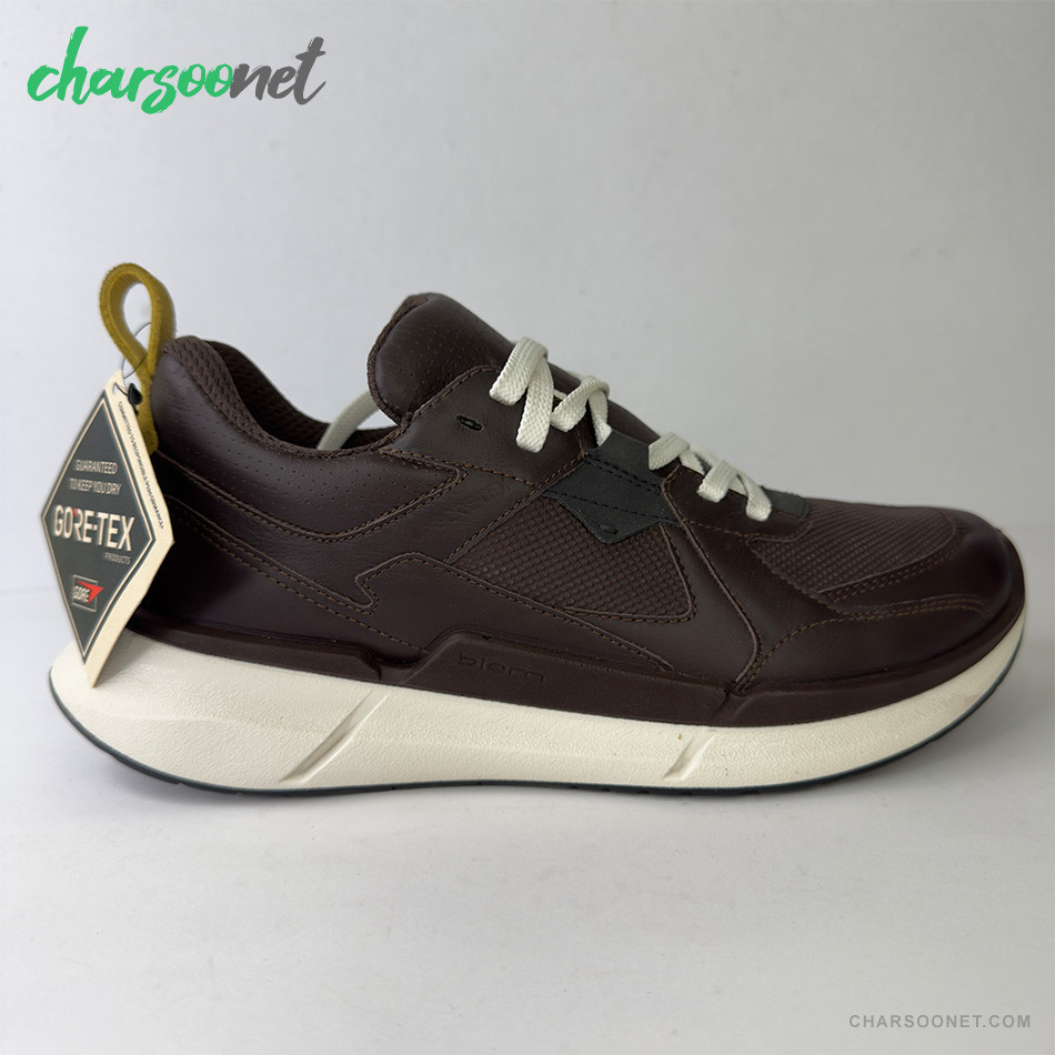 ECCO BIOM 2.2 LOW GTX