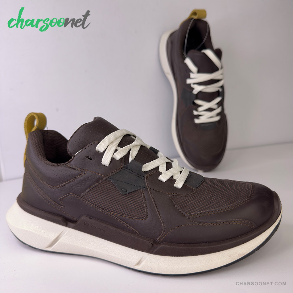 ECCO BIOM 2.2 LOW GTX