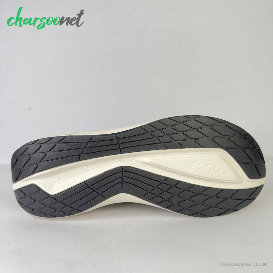 کفش ورزشی ضد آب مردانه اکو  ECCO BIOM 2.2 LOW GTX