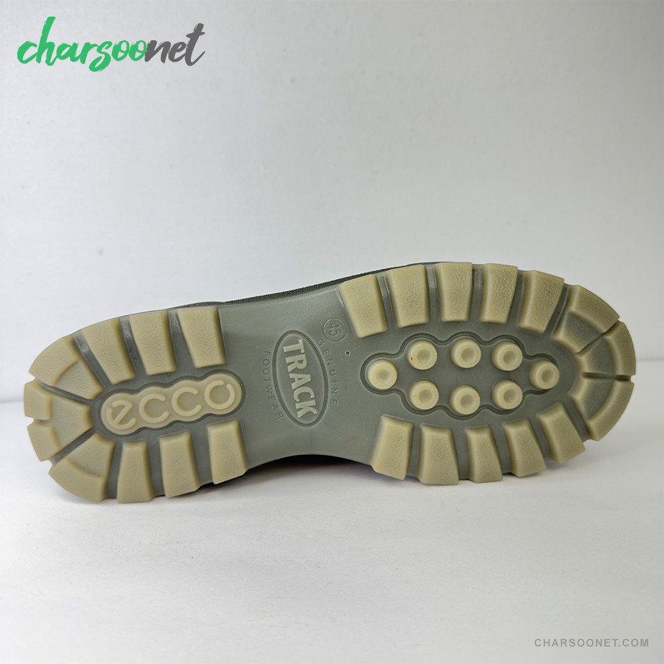 کفش چرمی ضدآب مردانه اکو Ecco Track 25 Gtx
