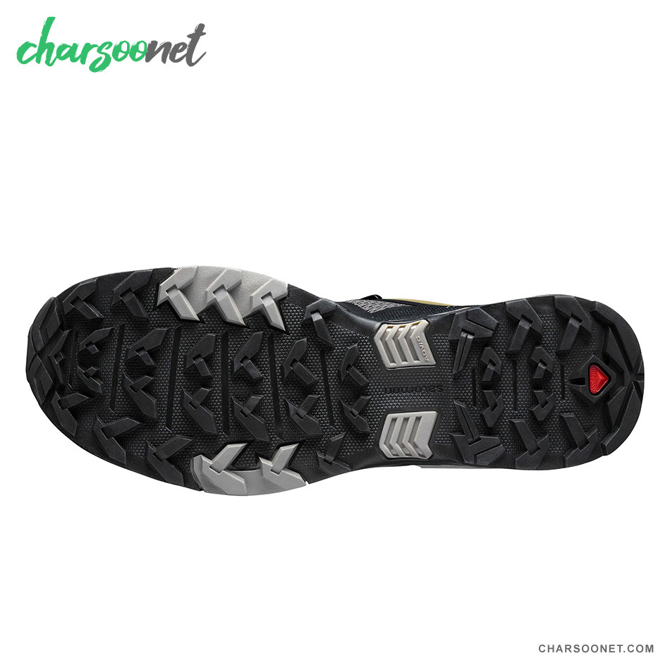 کفش پیاده روی و دویدن سالومون Salomon X Ultra 4