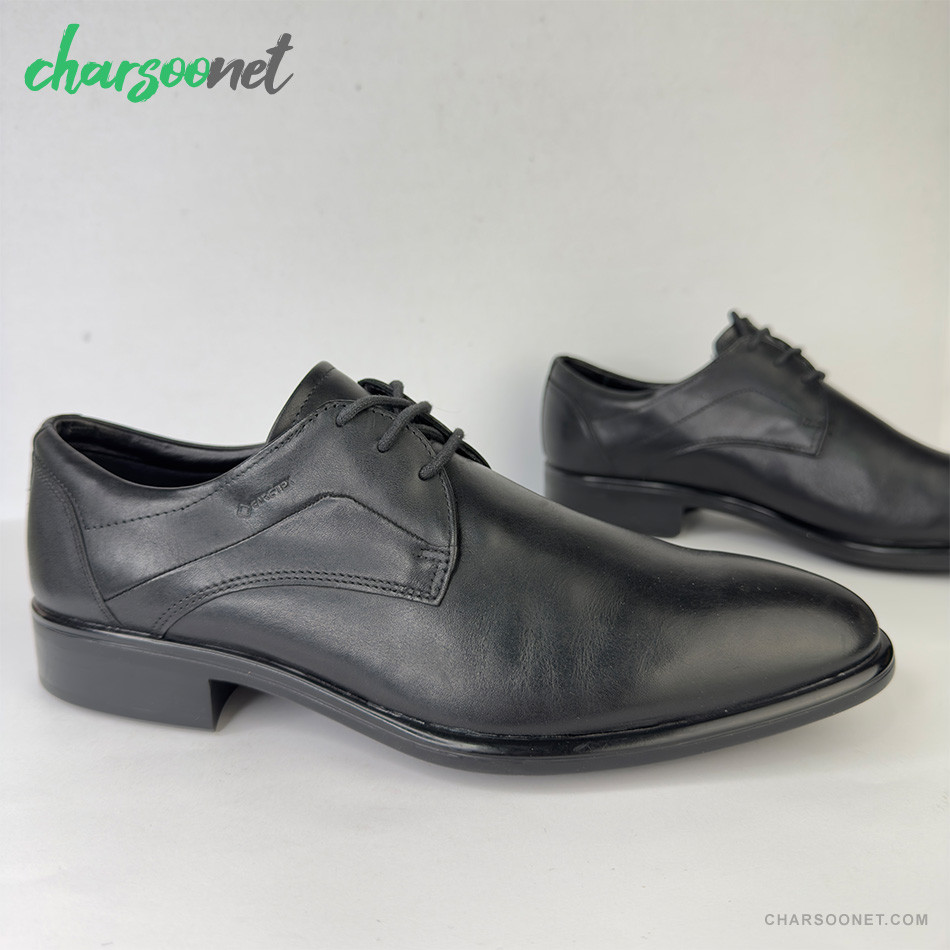 کفش چرمی مردانه اکو ECCO Citytray GTX